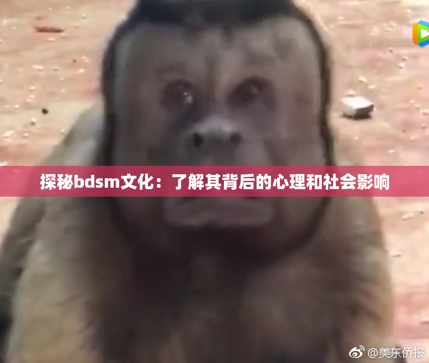 探秘bdsm文化：了解其背后的心理和社会影响