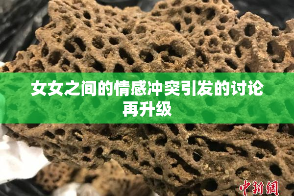 女女之间的情感冲突引发的讨论再升级