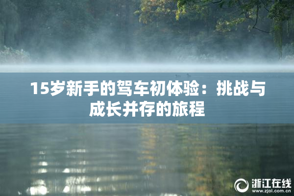 15岁新手的驾车初体验：挑战与成长并存的旅程