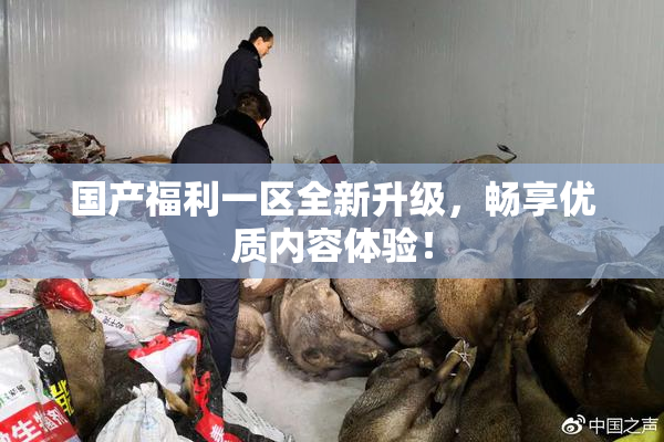 国产福利一区全新升级，畅享优质内容体验！