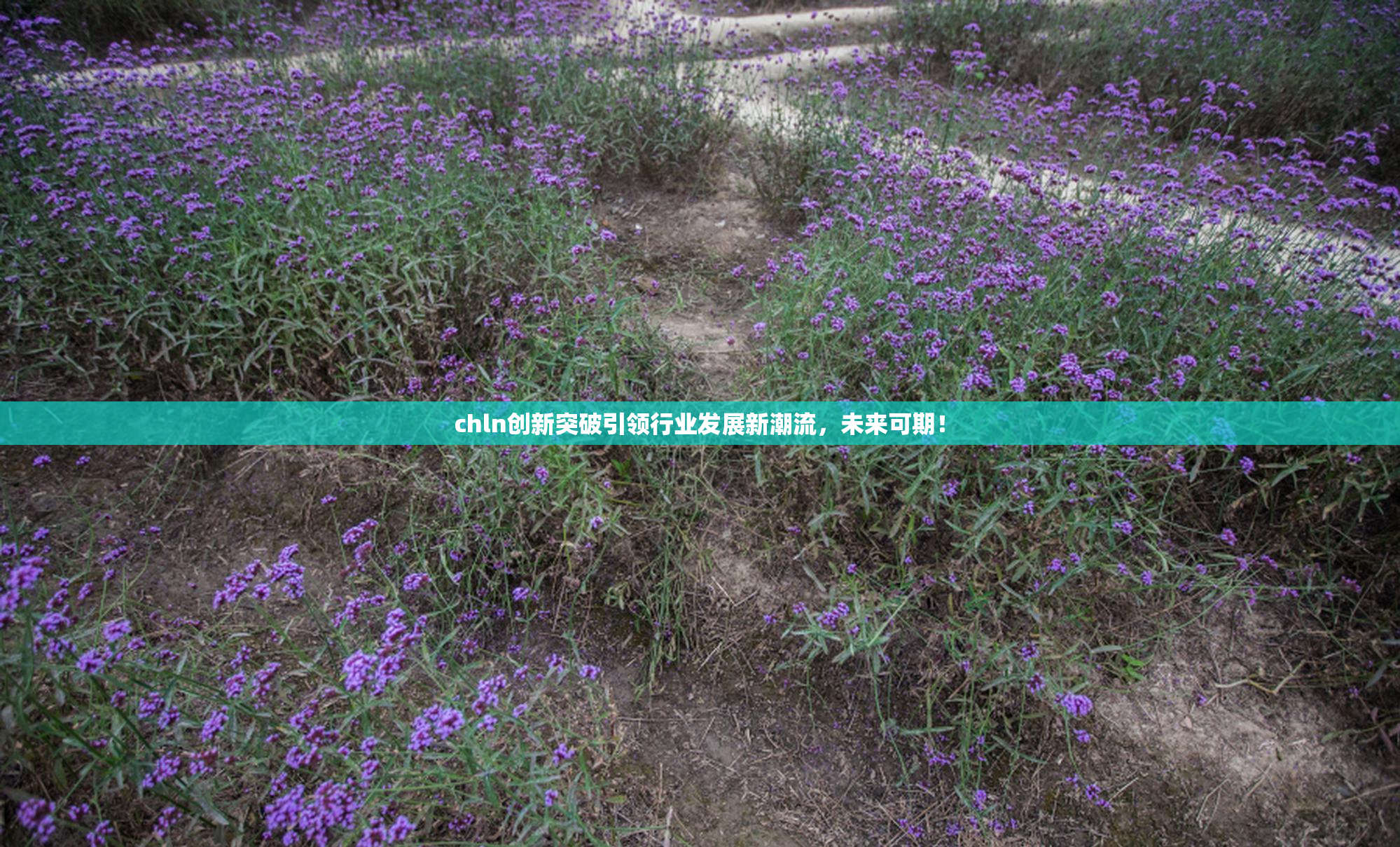 chln创新突破引领行业发展新潮流，未来可期！