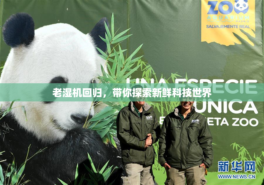 老湿机回归，带你探索新鲜科技世界