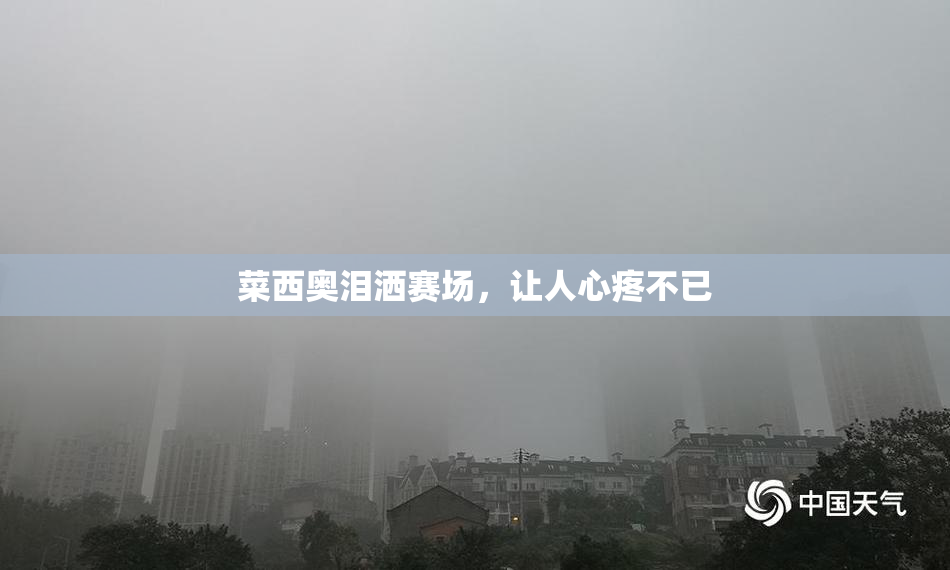 菜西奥泪洒赛场，让人心疼不已