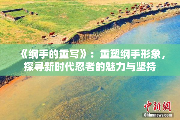 《纲手的重写》：重塑纲手形象，探寻新时代忍者的魅力与坚持