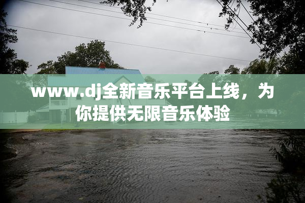 www.dj全新音乐平台上线，为你提供无限音乐体验
