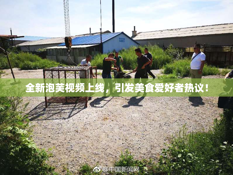全新泡芙视频上线，引发美食爱好者热议！