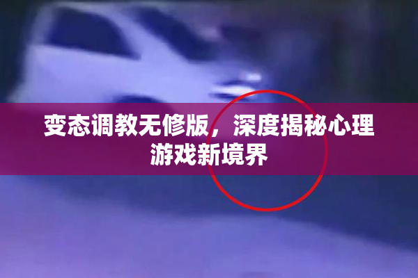 变态调教无修版，深度揭秘心理游戏新境界