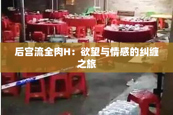 后宫流全肉H：欲望与情感的纠缠之旅