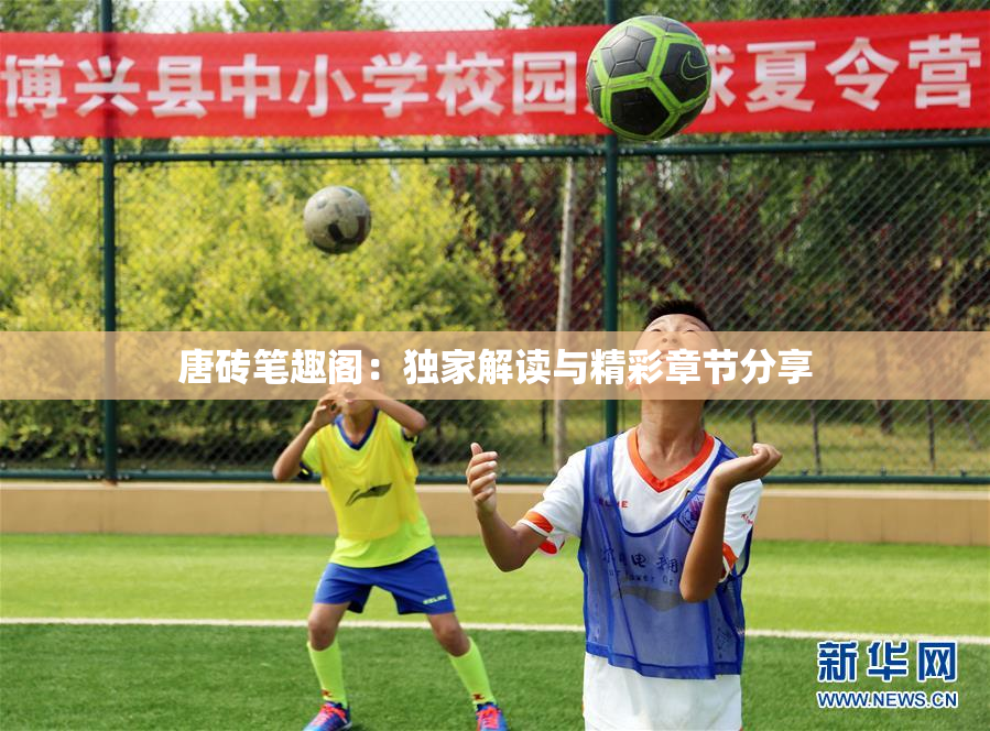 唐砖笔趣阁：独家解读与精彩章节分享