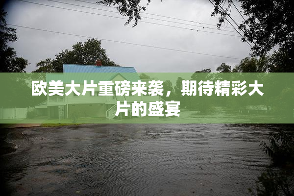 欧美大片重磅来袭，期待精彩大片的盛宴