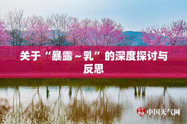 关于“暴露～乳”的深度探讨与反思