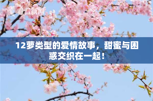 12萝类型的爱情故事，甜蜜与困惑交织在一起！