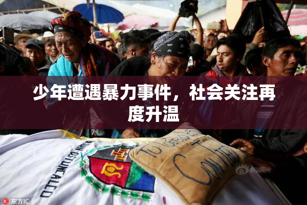 少年遭遇暴力事件，社会关注再度升温