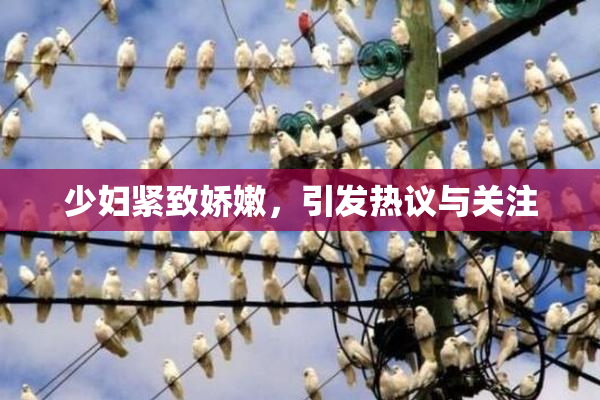 少妇紧致娇嫩，引发热议与关注
