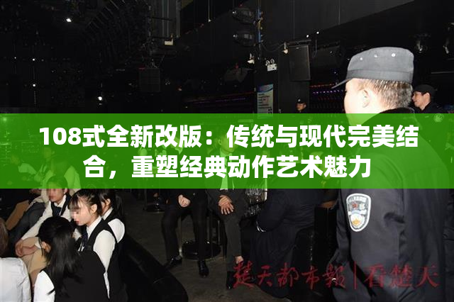 108式全新改版：传统与现代完美结合，重塑经典动作艺术魅力