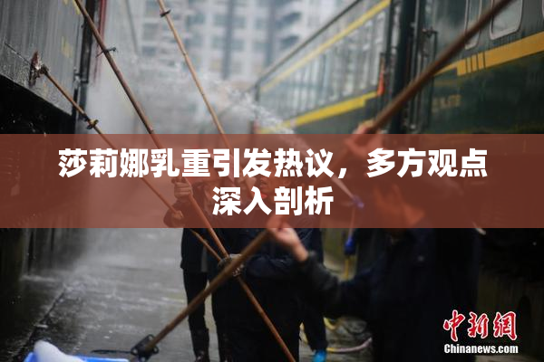 莎莉娜乳重引发热议，多方观点深入剖析