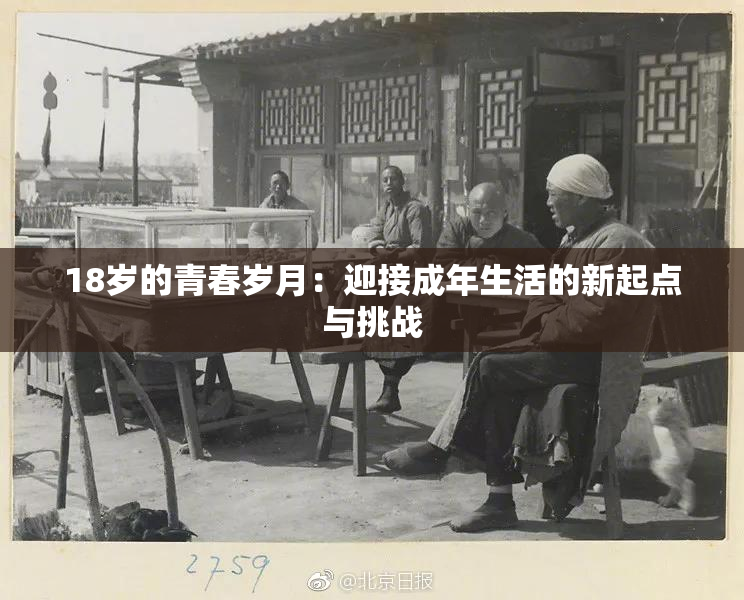 18岁的青春岁月：迎接成年生活的新起点与挑战