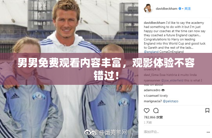 男男免费观看内容丰富，观影体验不容错过！