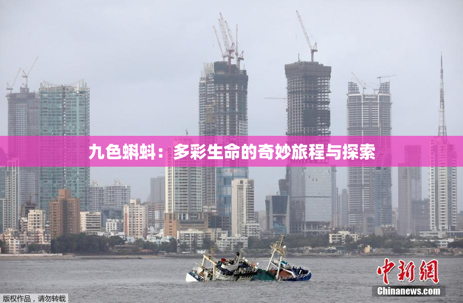 九色蝌蚪：多彩生命的奇妙旅程与探索