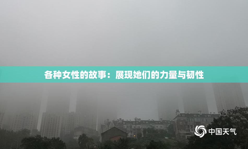 各种女性的故事：展现她们的力量与韧性
