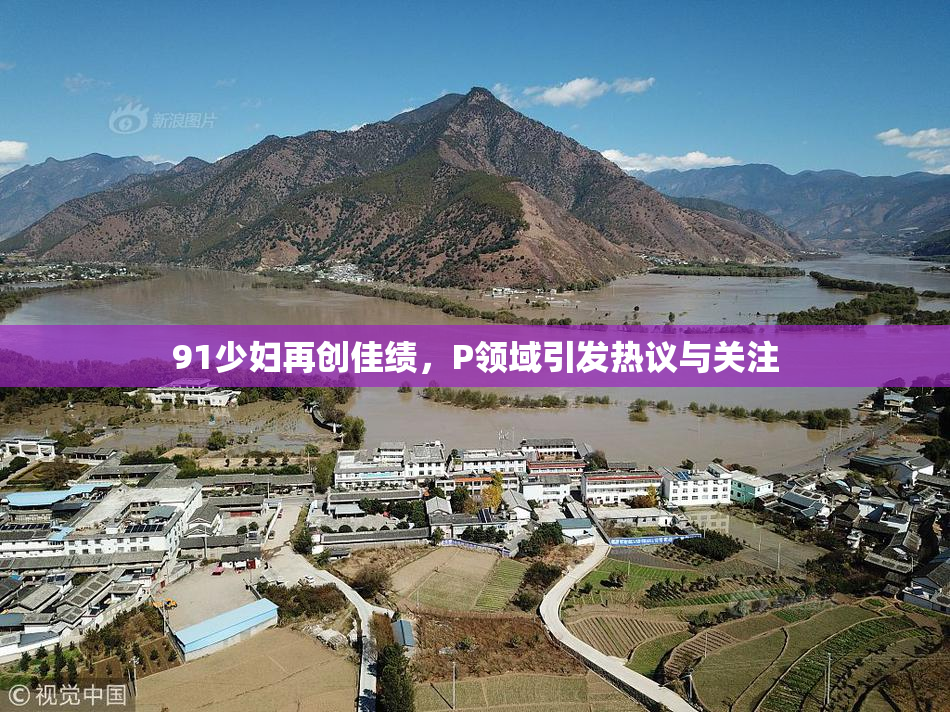 91少妇再创佳绩，P领域引发热议与关注