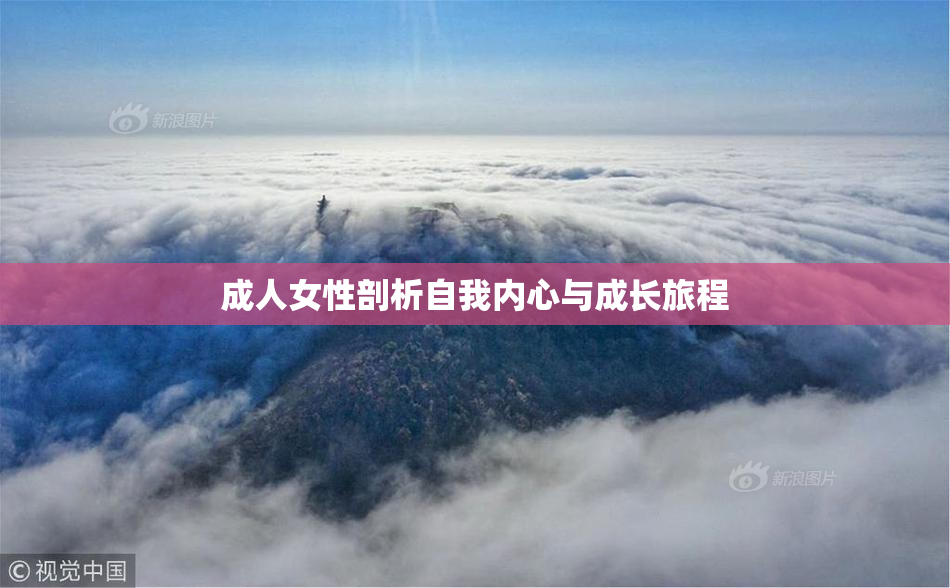 成人女性剖析自我内心与成长旅程