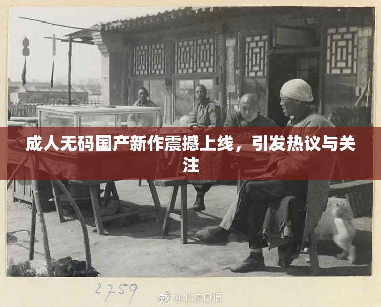 成人无码国产新作震撼上线，引发热议与关注
