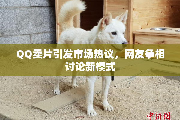 QQ卖片引发市场热议，网友争相讨论新模式