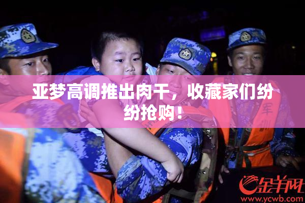 亚梦高调推出肉干，收藏家们纷纷抢购！
