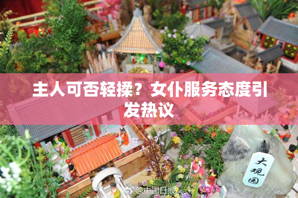 主人可否轻揉？女仆服务态度引发热议