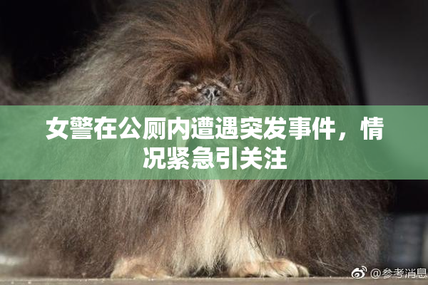 女警在公厕内遭遇突发事件，情况紧急引关注