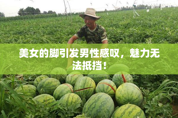 美女的脚引发男性感叹，魅力无法抵挡！