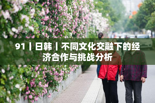 91丨日韩丨不同文化交融下的经济合作与挑战分析