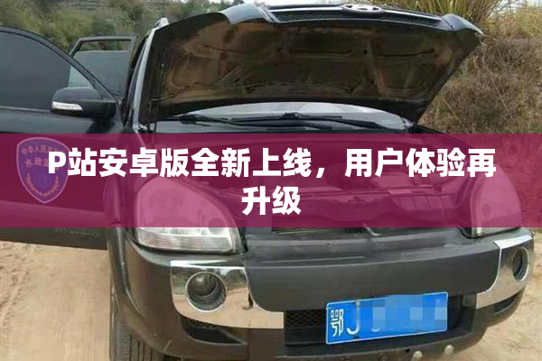 P站安卓版全新上线，用户体验再升级