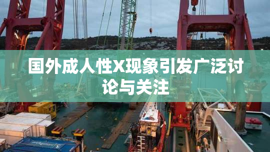 国外成人性X现象引发广泛讨论与关注