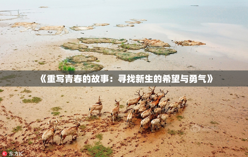 《重写青春的故事：寻找新生的希望与勇气》