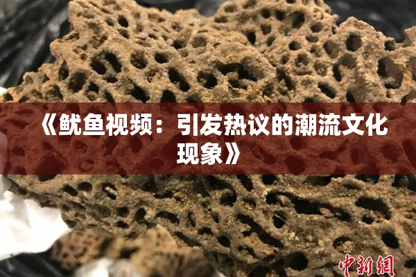 《鱿鱼视频：引发热议的潮流文化现象》