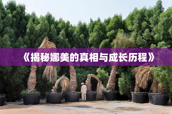 《揭秘娜美的真相与成长历程》