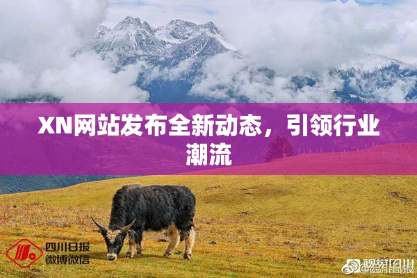XN网站发布全新动态，引领行业潮流