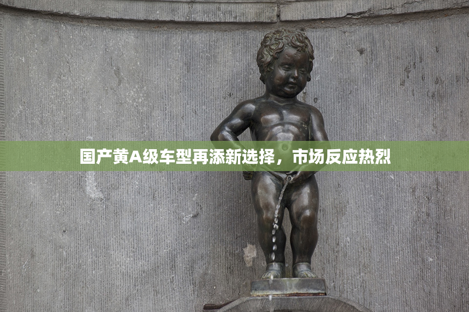 国产黄A级车型再添新选择，市场反应热烈