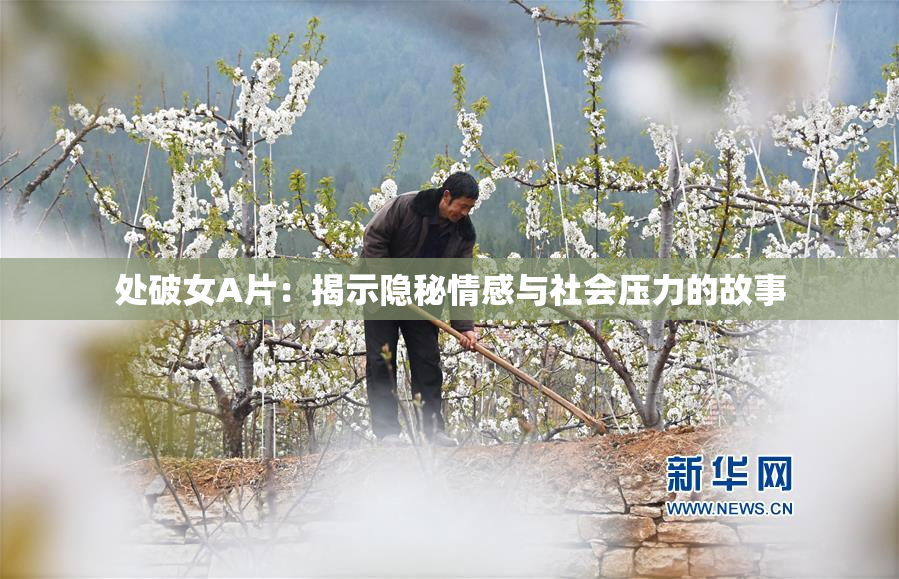 处破女A片：揭示隐秘情感与社会压力的故事