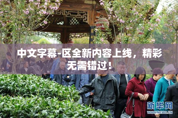 中文字幕-区全新内容上线，精彩无需错过！