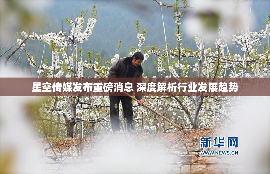 星空传媒发布重磅消息 深度解析行业发展趋势