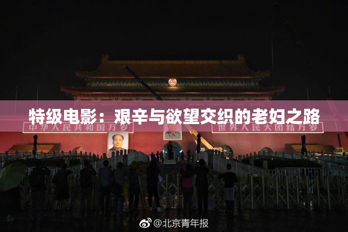 特级电影：艰辛与欲望交织的老妇之路