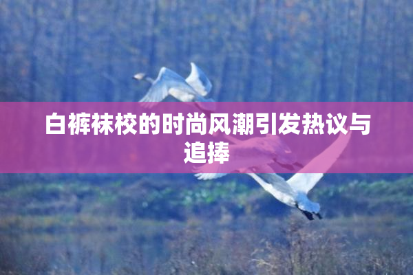 白裤袜校的时尚风潮引发热议与追捧