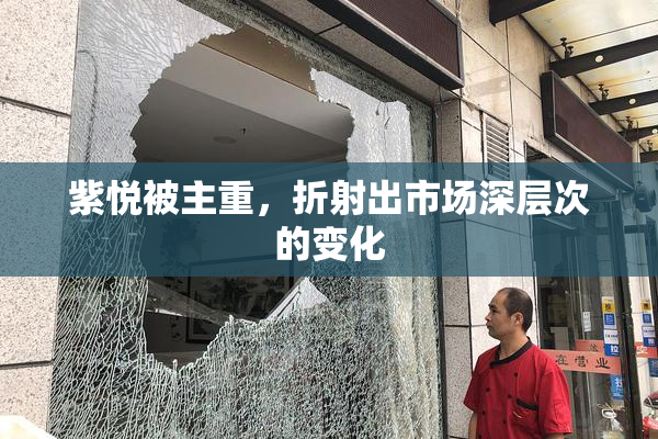 紫悦被主重，折射出市场深层次的变化