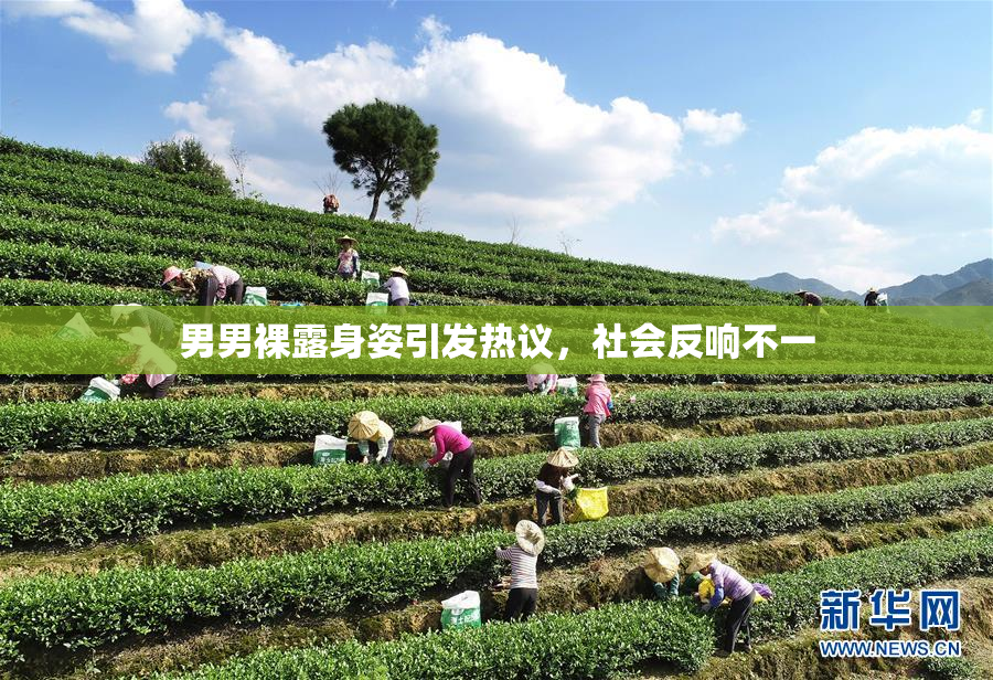 男男裸露身姿引发热议，社会反响不一