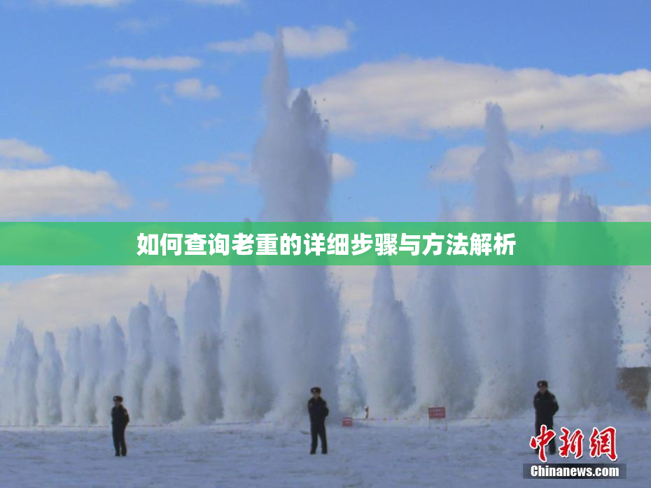 如何查询老重的详细步骤与方法解析