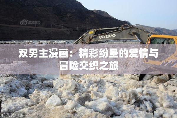 双男主漫画：精彩纷呈的爱情与冒险交织之旅