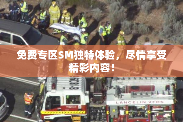 免费专区SM独特体验，尽情享受精彩内容！
